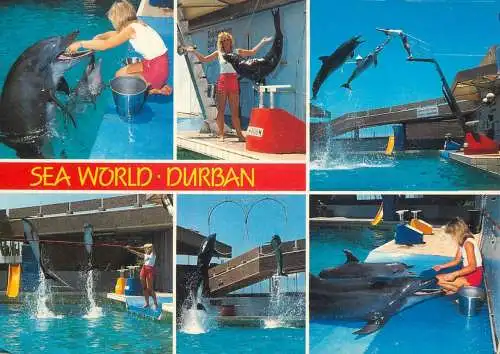 South Africa Durban Sea World multi view