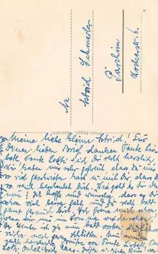 Germany Neusterlitz im Schlossgarten