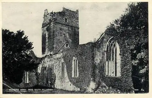 United Kingdom Scotland Killarney Muckross abbey