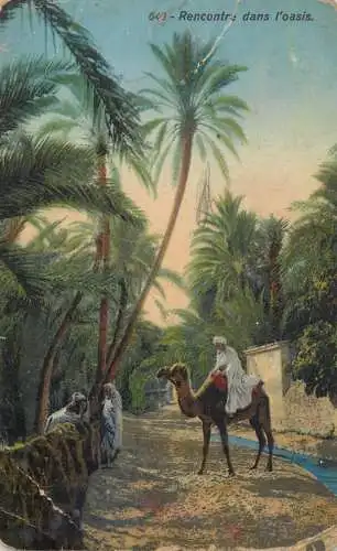 North Africa oasis scene