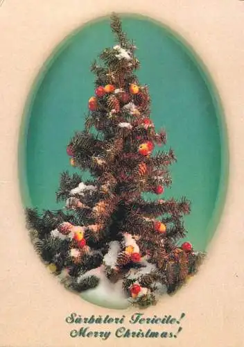 Merry Christmas greetings decorated tree souvenir postcard