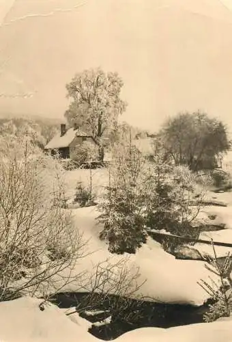 Winter Holidays greetings picturesque winter scenery