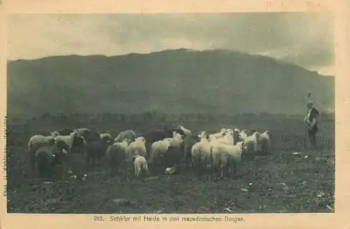 Macedonia BALKAN TYPEN Bergen