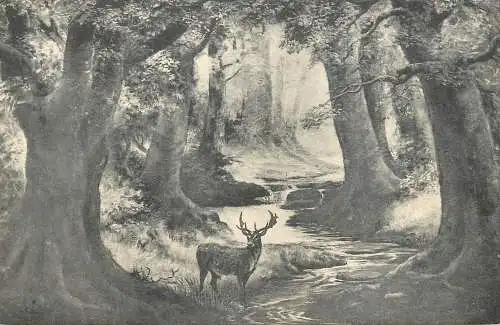 Sylvian solitude deer by F.T. Smith