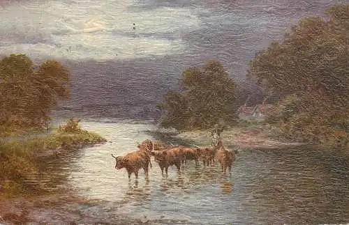 Study of Cattle old postcard