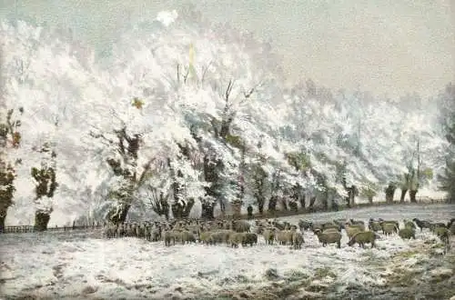 Snow scene with sheep old postcard