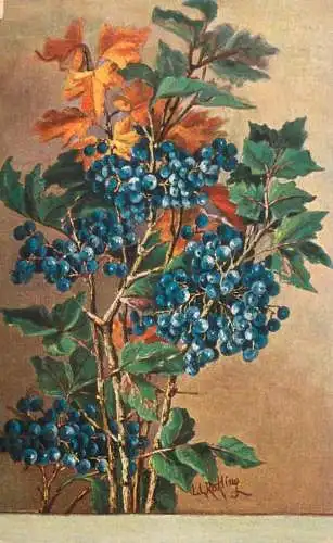 Flowers and berries vase still life artist L. G. Reckling