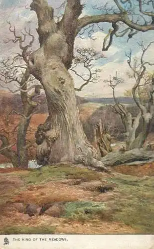 Tree the king of meadows