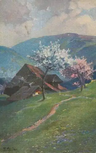 Germany Fruhling im Schwarzwald Fr. Heiss painting signed artwork