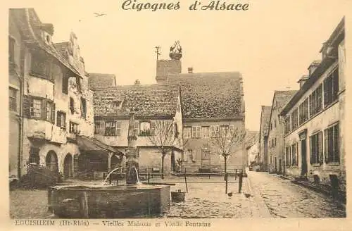 France Eguisheim (Haut-Rhin) vieilles maisons, vieille fontaine et cigognes d'Alsace