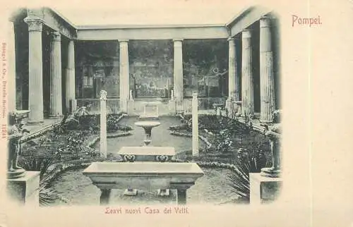 Italy Pompei Leavi nuovi Casa dei Vetti