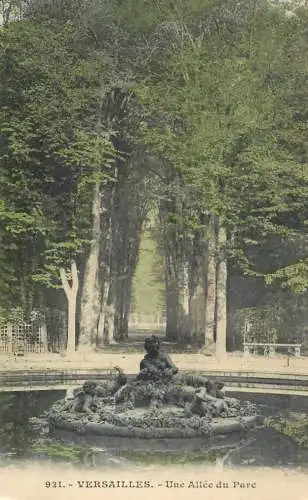 France Versailles une allee du parc