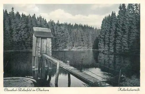 Germany Clausthal-Zellerfeld im Oberharz Kellerhalserteich