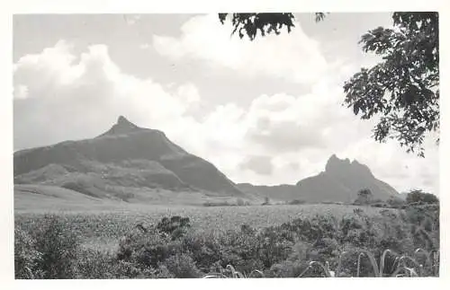 Landscape place to identify real photo