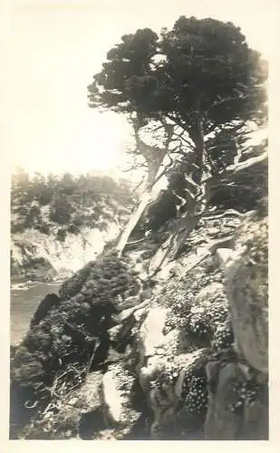 Landscape place to identify real photo