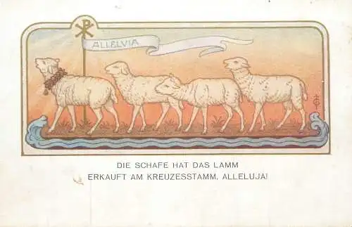 AK Die Schafe hat das Lamm