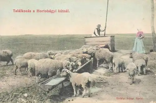 Hortobagyi