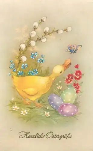Easter greetings postcard drawn duck & butterfly penciled eggs
