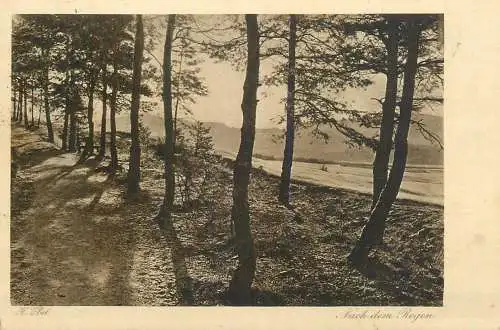 Germany Aus Deutsche Heimat Wald Blick