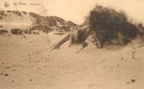 Belgium La Panne dunes