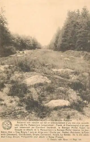 Belgium Hautes Fagnes