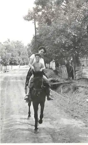 Photograph ca. 6 x 9 cm Romania Zalau anonymous person riding horse 1962