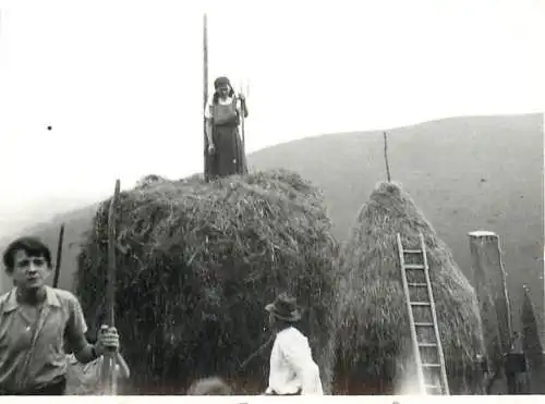 Photograph ca. 6 x 9 cm anonymous persons rural life agriculture