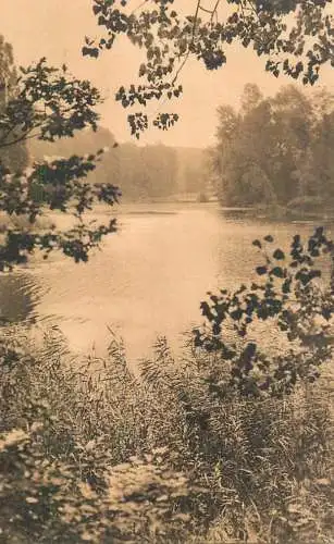 Belgium etang de Rouge Cloitre