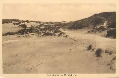 Belgium dunes