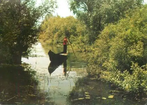 Romania Tulcea Danube Delta bateau