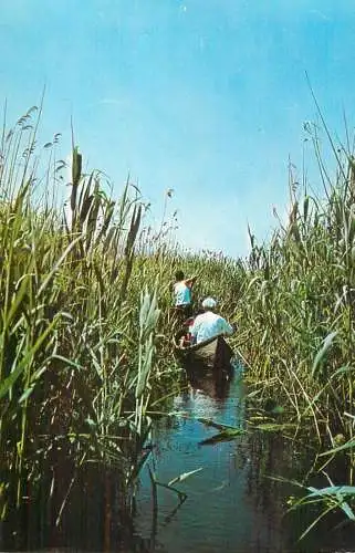 Romania Tulcea Danube Delta Dunarii