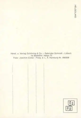 Germany Helgoland aerial view