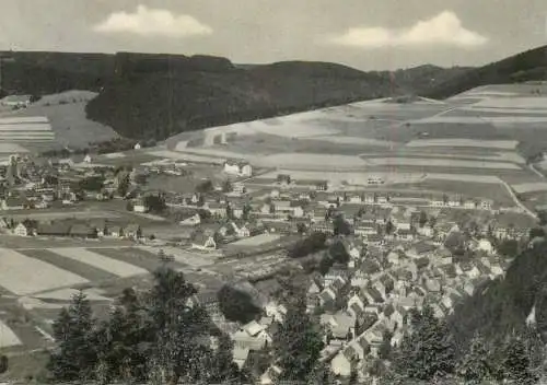 Germany Willingen (Waldeck) Heilklimatischer Kurort und Wintersportplatz totalansicht