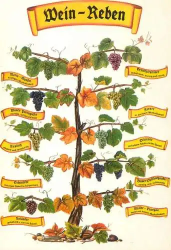 Germany Neustadt Weinbaugebiete