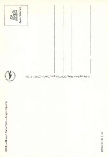 Germany Dahn Jungfernsprung