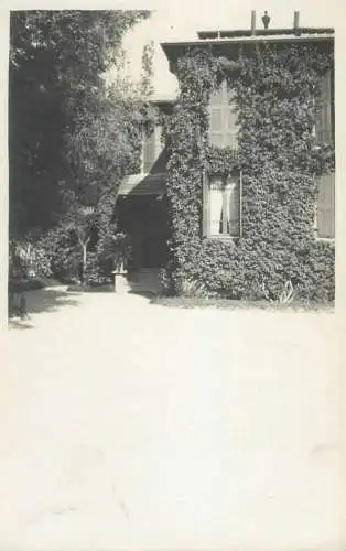 House plant covered facade detail view place to identify