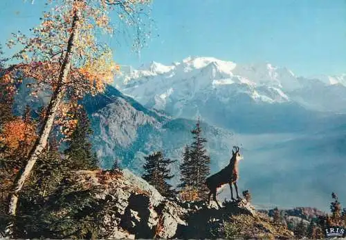 France Chamonix-Mont-Blanc