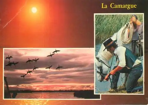 France la Camargue