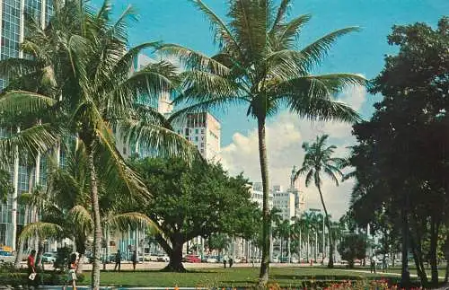 SUA Miami FL Biscayne Blvd seen from Bayfront Park