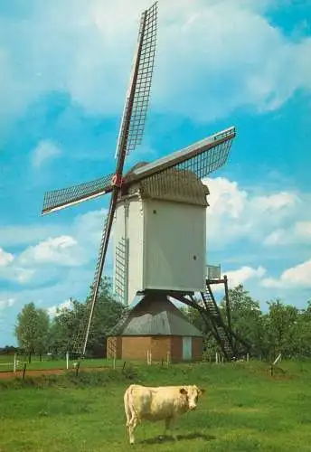 Netherlands Sprang-Capelle Corn-mill and cow