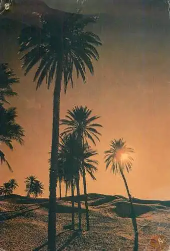 Tunisia desert sunset view