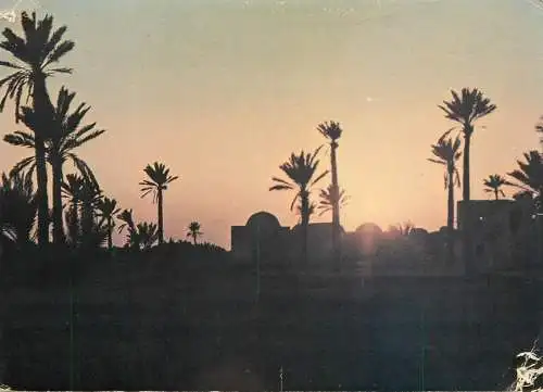 Tunisia Djerba sunset view