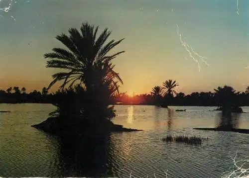 Tunisia Djerba coucher du soleil