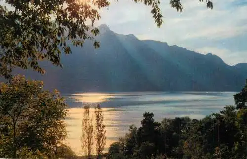 France Lac du Bourget & Dent du Chat coucher de soleil