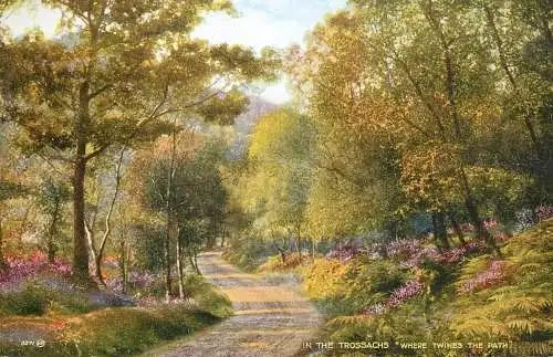 Scotland In the Trossachs "where twines the path"