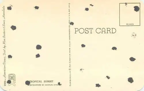 Hawaii Aloha tropical sunset