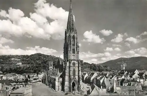 France Freiburg/Schwarzwald das Munster