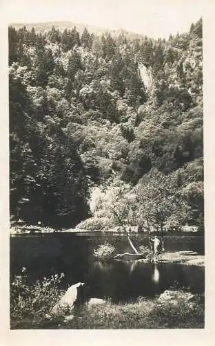 France Vallee de Munster (Haut-Rhin) Le Fischboedle