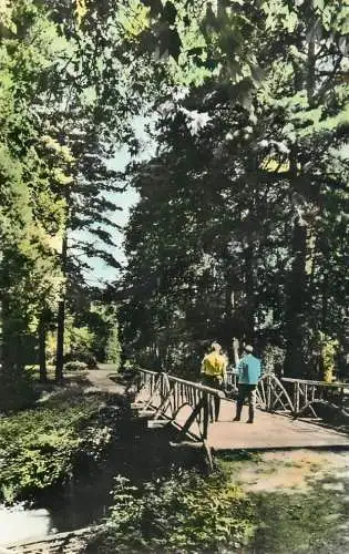 Romania Simeria Parcul dendrologic