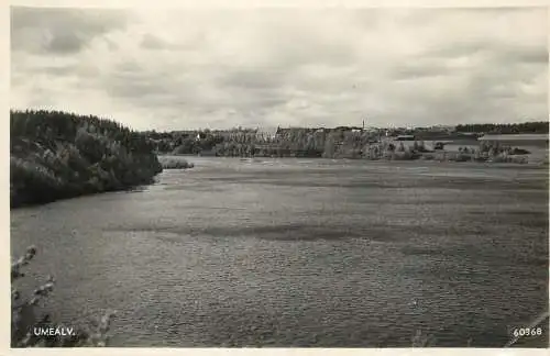 Sweden Umealv river view